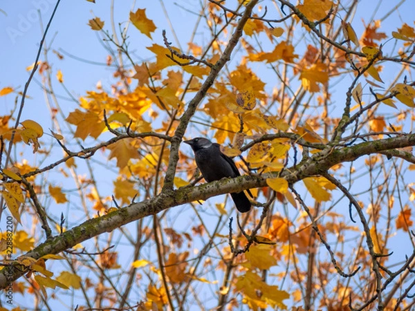 Obraz OLYMPUS DIGITAL CAMERA