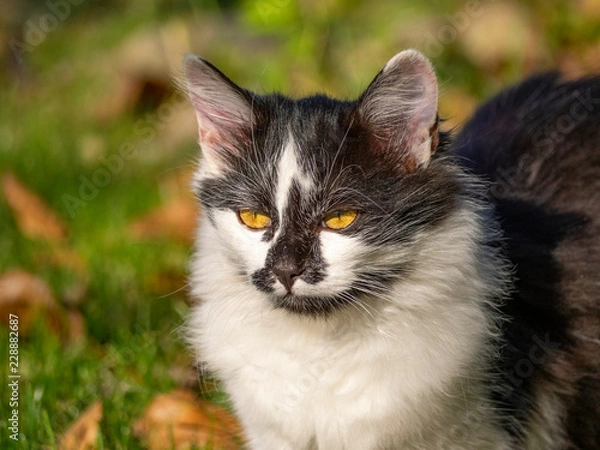 Obraz OLYMPUS DIGITAL CAMERA