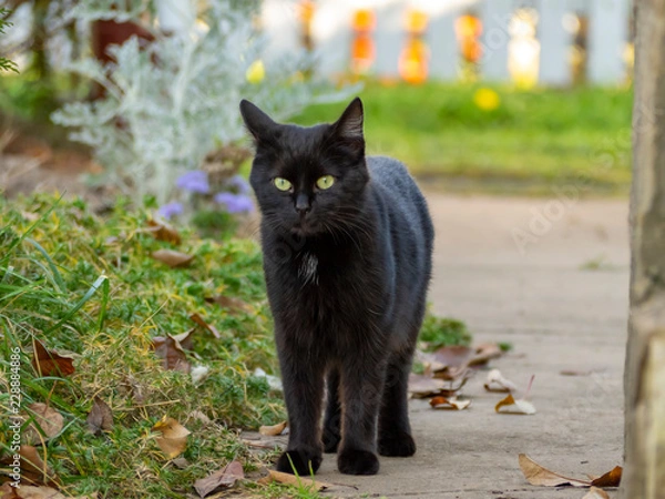 Obraz OLYMPUS DIGITAL CAMERA