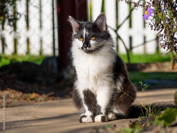 Obraz OLYMPUS DIGITAL CAMERA