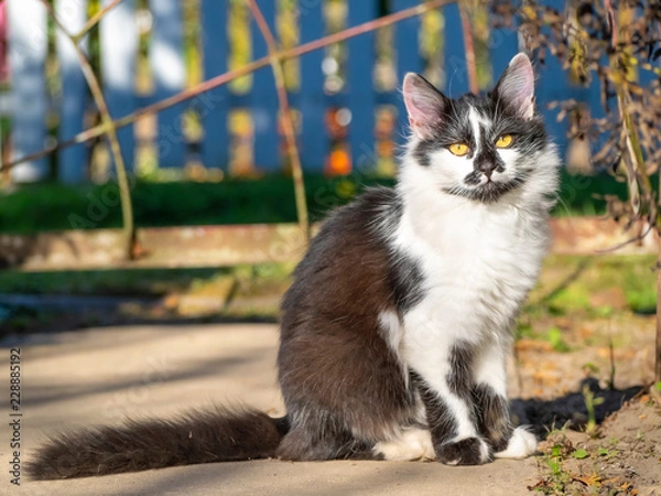 Obraz OLYMPUS DIGITAL CAMERA