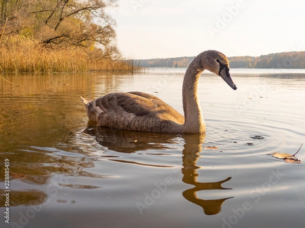 Obraz OLYMPUS DIGITAL CAMERA