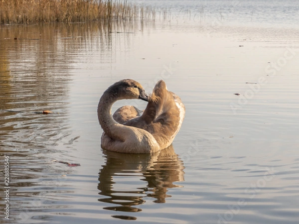 Obraz OLYMPUS DIGITAL CAMERA