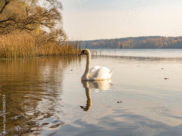 Obraz OLYMPUS DIGITAL CAMERA