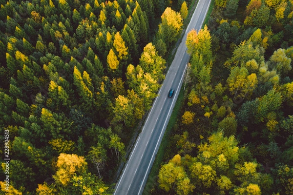 Fototapeta A road crossing a forest in autumn colors