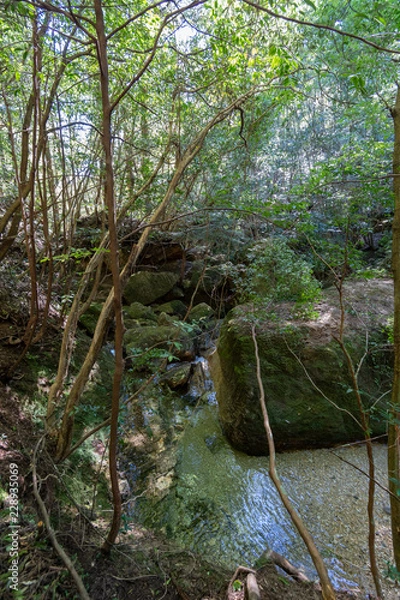 Obraz 山奥の景色