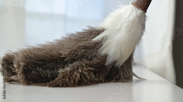 Obraz 羽根はたきでお掃除