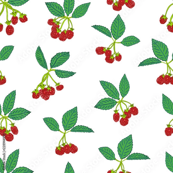 Fototapeta Seamless pattern of blackberry or raspberry. Berry background for textiles, wallpaper, sets of drawings, covers, surface, print, wrapper, scrapbooking.