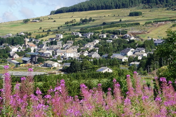 Fototapeta Les estables