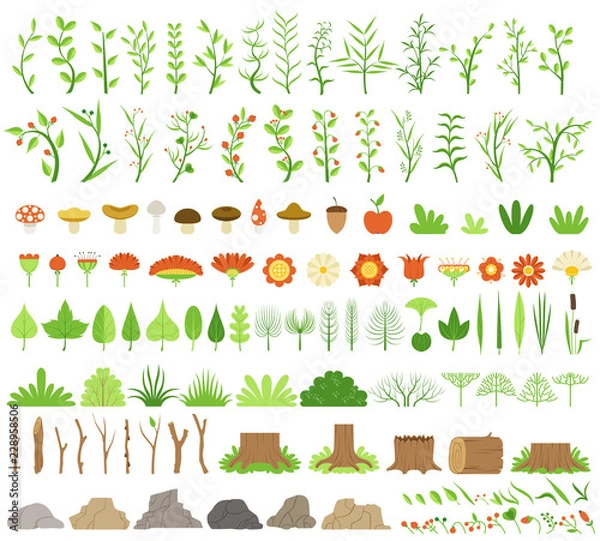 Fototapeta Vector illustration. Botanical collection. branches, stumps, flowers, herbs, and other natural elements.