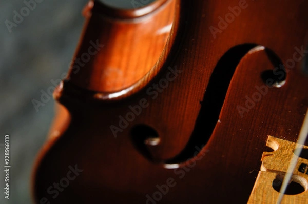 Obraz violon musique bois cordes