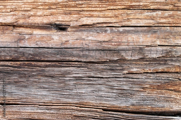 Fototapeta The old wood texture with natural patterns. Inside the tree background. Old grungy and weathered grey wooden wall planks texture background