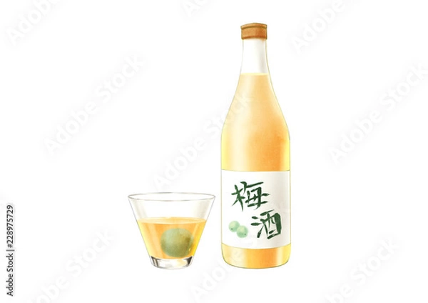 Fototapeta 梅酒