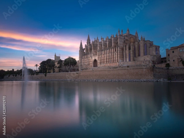 Fototapeta OLYMPUS DIGITAL CAMERA