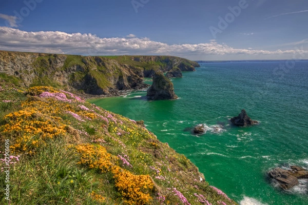 Obraz spring bedruthan steps