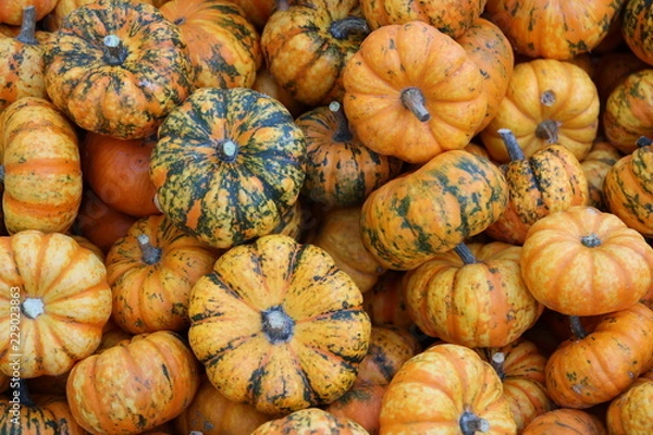 Fototapeta Herbst -Kürbisimpression