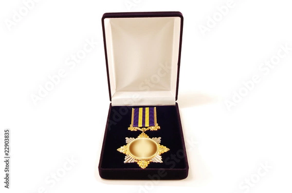 Obraz Award in a case