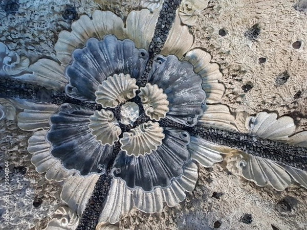 Obraz Décor de coquillages 