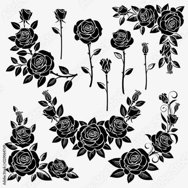 Obraz Kolekcja róż