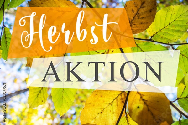 Fototapeta Herbst AKTION
