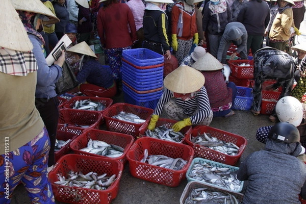 Obraz ベトナムのクイニョンにある港市場