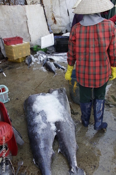 Obraz ベトナムのクイニョンにある港市場