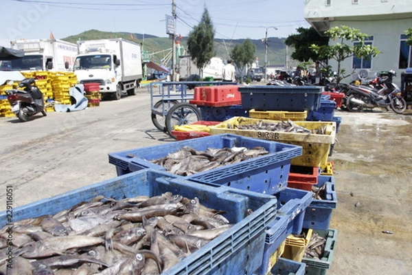 Obraz ベトナムのクイニョンにある港市場