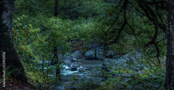 Obraz Fall for Sedona