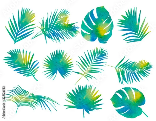 Obraz watercolor palm leaf, set