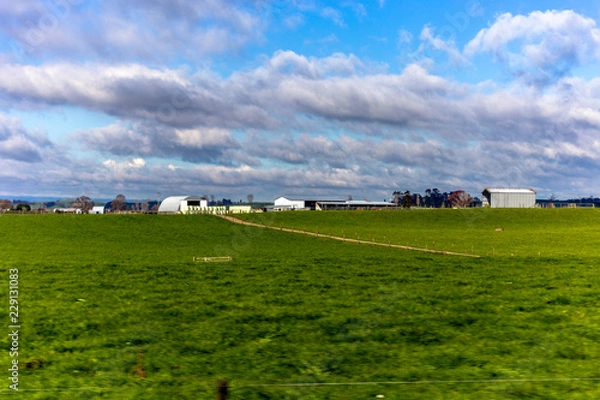Obraz Countryside in New Zealand