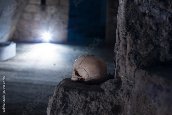 Fototapeta Skull and bones