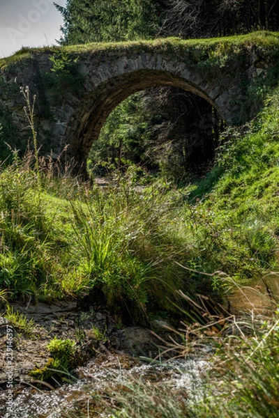 Fototapeta the old bridge