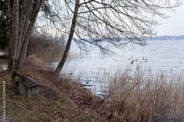 Fototapeta quite afternoon