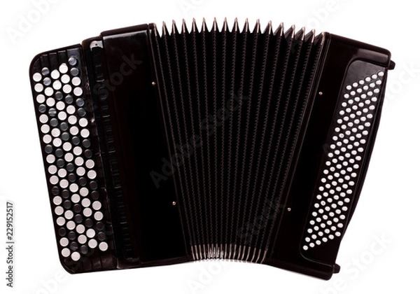 Fototapeta button accordion - close up