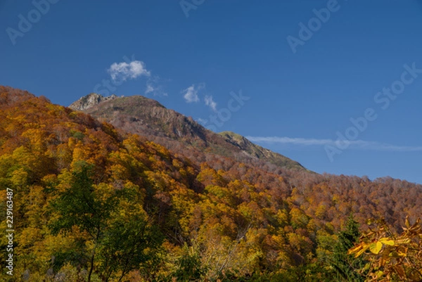 Fototapeta 紅葉と雨飾山