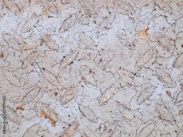 Obraz OLYMPUS DIGITAL CAMERA