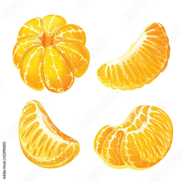 Fototapeta Whole peeled tangerine and peeled mandarin slices