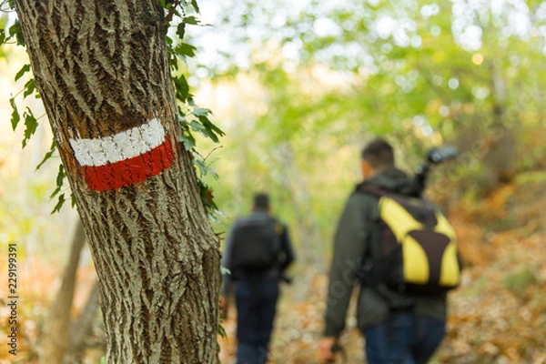 Obraz sentiero segno