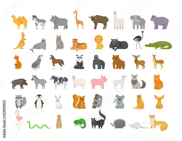 Fototapeta Śliczne zwierzę z farmą i dzikim charakterem.