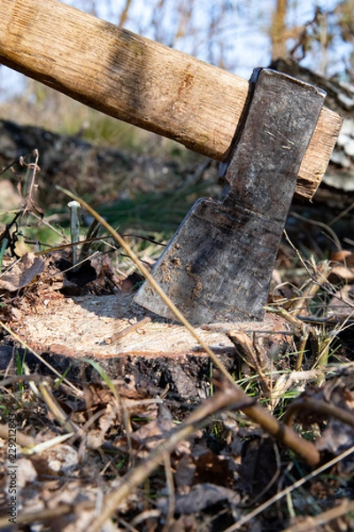 Obraz axe and stump