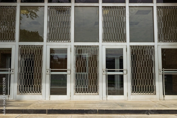 Obraz library doors 