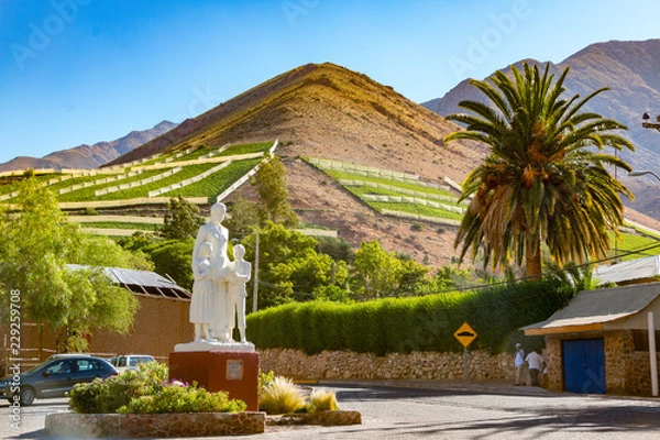 Obraz Valle del Elqui Chile