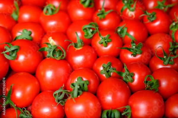Fototapeta Fresh red tomato abstract fruit colorful pattern texture background. Shallow depth of field.