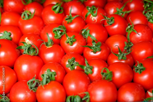 Fototapeta Fresh red tomato abstract fruit colorful pattern texture background. Shallow depth of field.