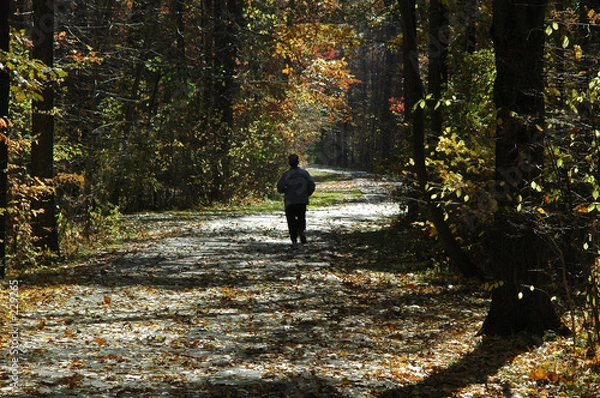 Obraz walking the trail