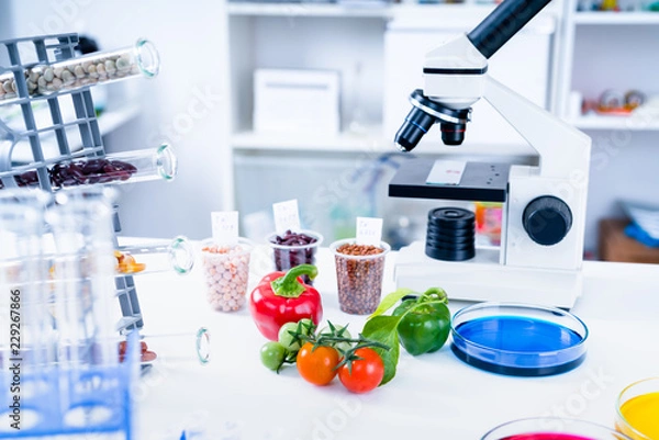 Fototapeta Chemical Laboratory of the Food supply . Food in laboratory, dna modify .GMO Genetically modified food in lab