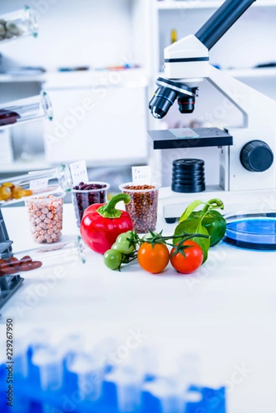 Fototapeta Chemical Laboratory of the Food supply . Food in laboratory, dna modify .GMO Genetically modified food in lab .