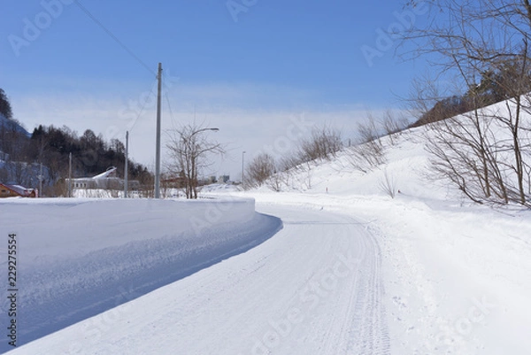 Obraz 田舎の雪道