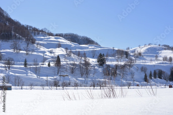 Obraz 雪が降り積もった丘