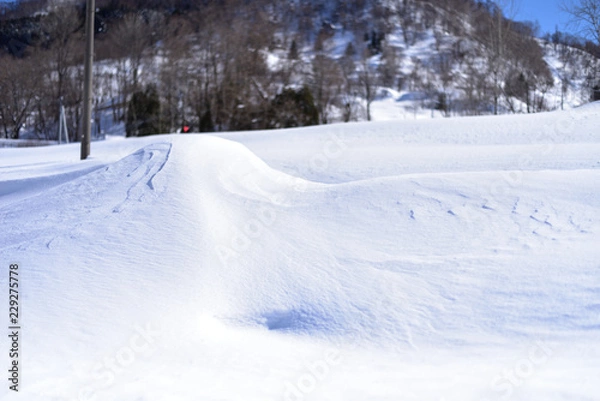 Fototapeta 降り積もった雪